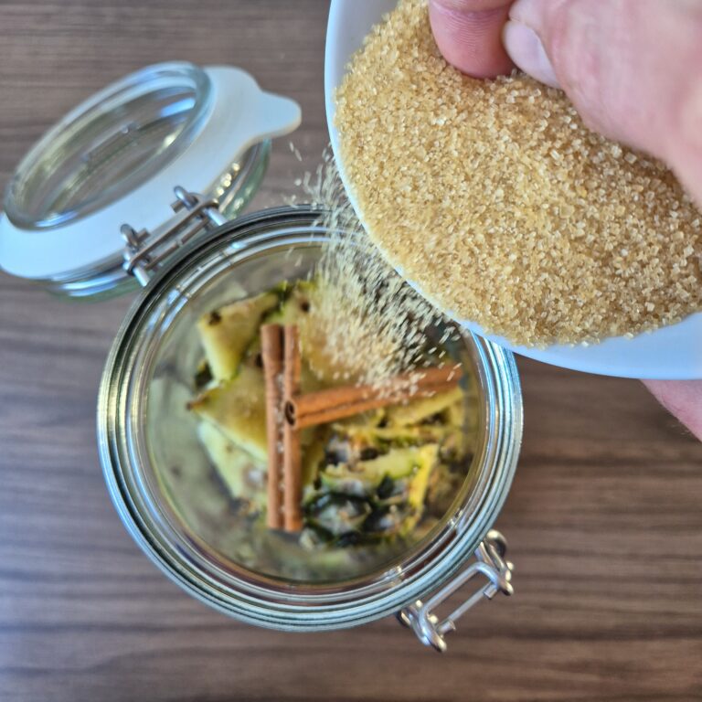 Quel sucre utiliser pour faire du tepache ?